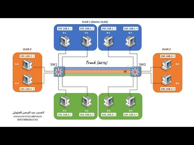 Native Vlan Animation