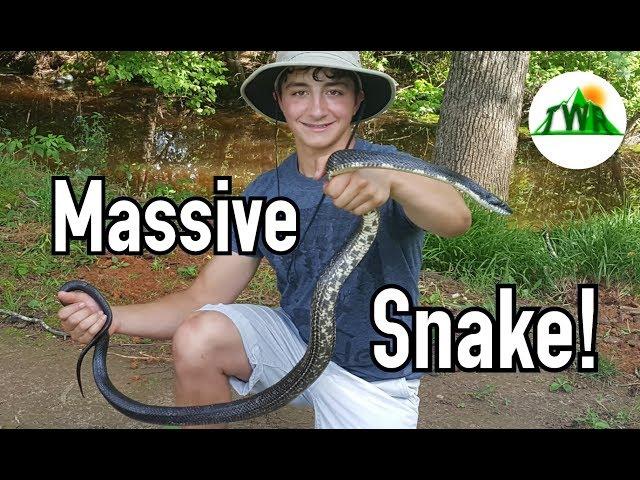 Catching And Bonding With A Massive Snake!