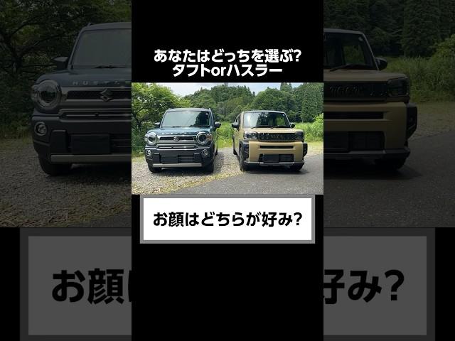 ディーラーが知られたくないハスラーとタフトの秘密。　#shorts #suzuki  #hustler #ハスラー #daihatsu  #taft  #口コミ