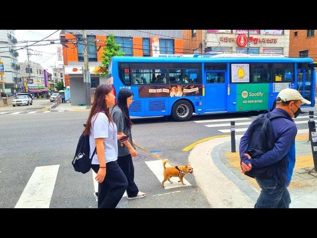 완전반값,서울단독주택~빌라값,단돈3억8천~급처분.2차선변,상가도로,경매직전.서울단독주택급매물,토지,고려대,동대문,성북구,급매물부동산 매매,급매물과 반값매매/010-7923-3663