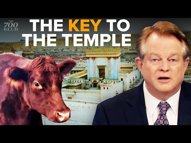 Why Israel’s 5 Red Heifers Are So Important To End Times Prophecy