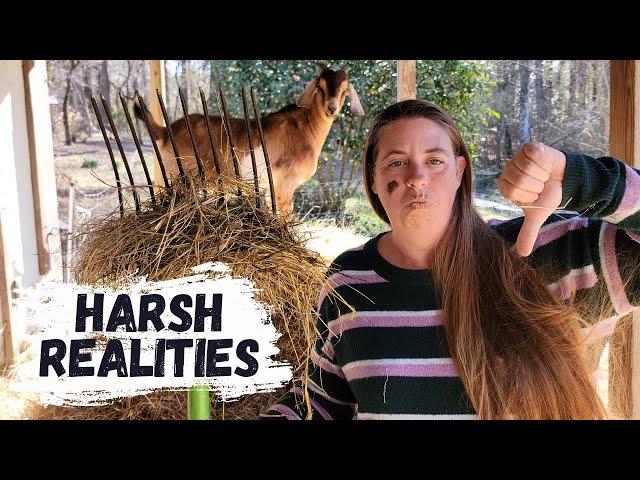 The Down Side Of Farming | Harsh Realities Of Farm Life