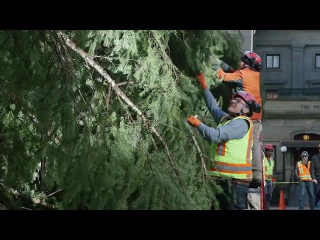 Pioneer Courthouse Square Tree Arrival 2022