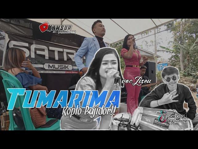 TUMARIMA-KUN KUN || Live Perform SATRIA MUSIK ft KAMSUY PRODUCTION