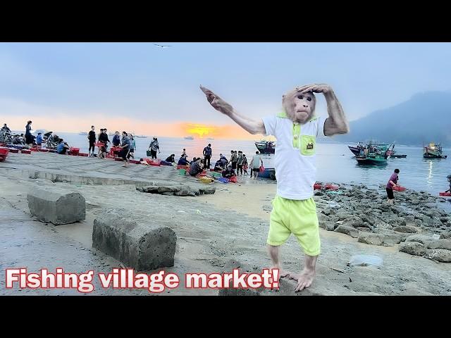 Bibi wakes up early to experience going to the fishing village market on the beach!