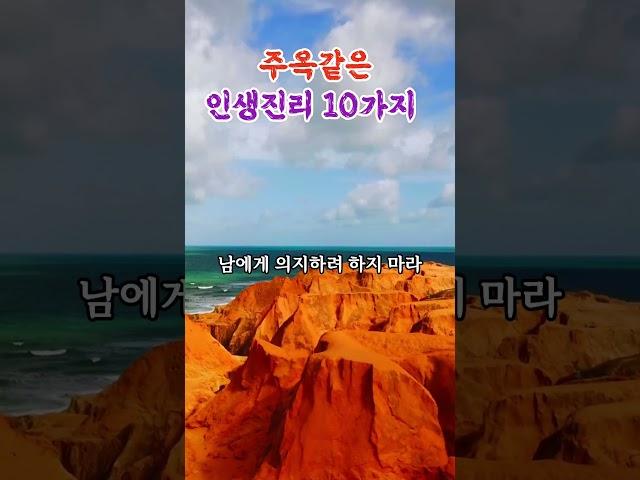 주옥같은 인생진리 10가지 #인생명언 #지혜 #좋은글 #인생한줄