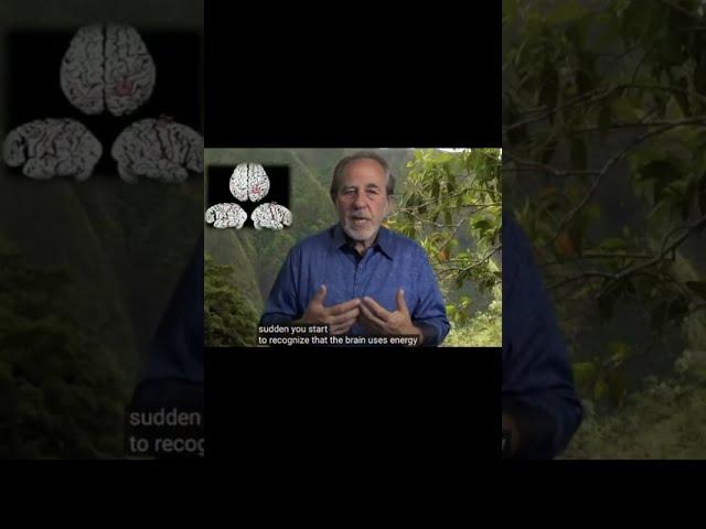 Thinking is Energy - Energy is Money - Use It Wisely | Bruce Lipton