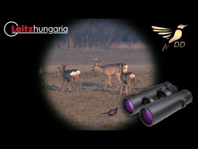 DDoptics Ultralight 12x50 keresőtávcső\Unboxing