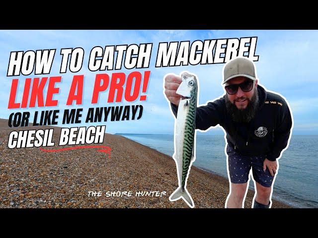 How to Catch Mackerel on Chesil Beach | The Best Tips & Techniques For Fishing For Mackerel 