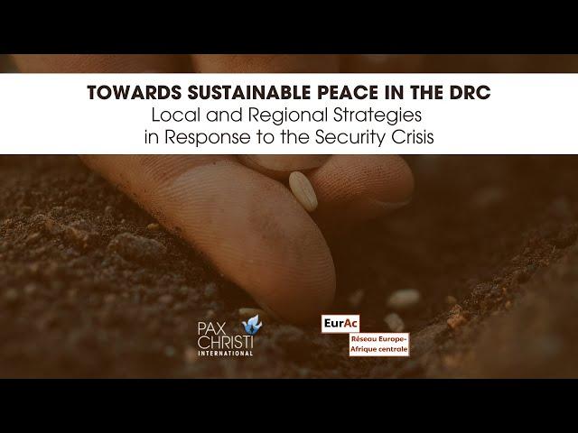 Webinar “Towards Sustainable Peace in the DRC"