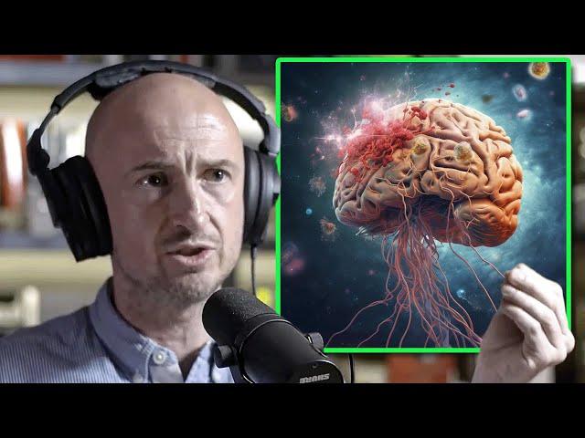 Evidence That DMT Opens the Brain to Other Dimensions | Andrew Gallimore