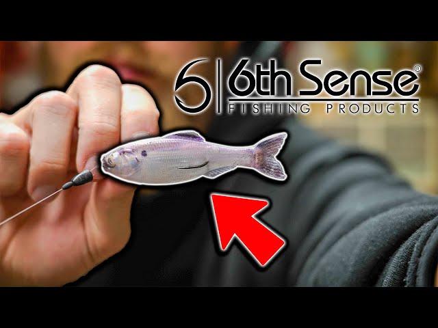 How To Rig The 6th Sense Panorama To Catch Unlimited Flounder!