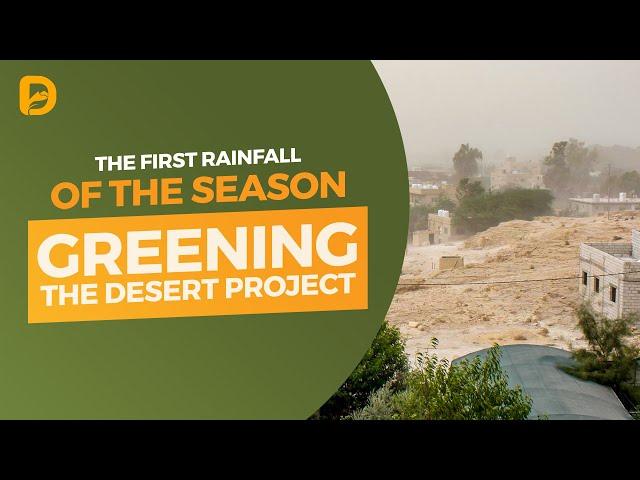 Greening the Desert: the First Rainfall of the Season