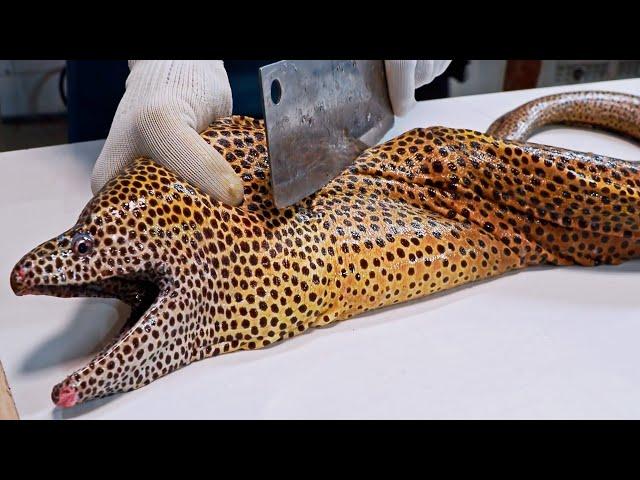 Amazing！Giant Moray Eel, Grilled Eel Making / 驚人的巨大海鰻料理, 烤鰻魚製作 - 海鮮美食