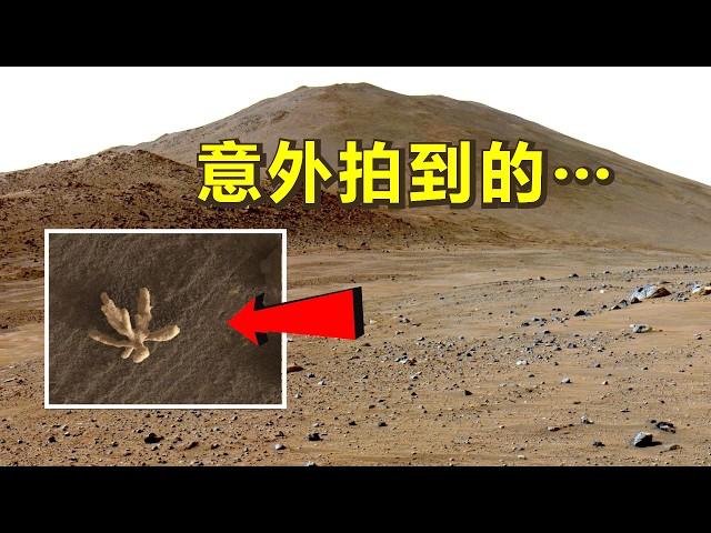 来自火星的真实图像：好奇号发现了火星之花