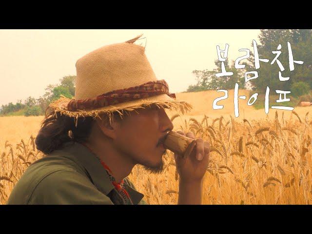 BoramChan Lifestyle - in JEJU island.