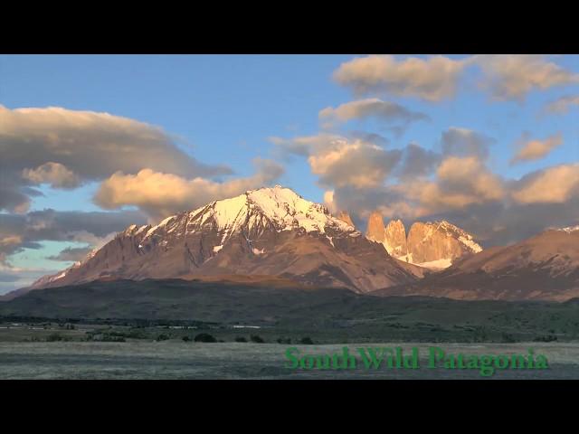 SouthWild Best Patagonia