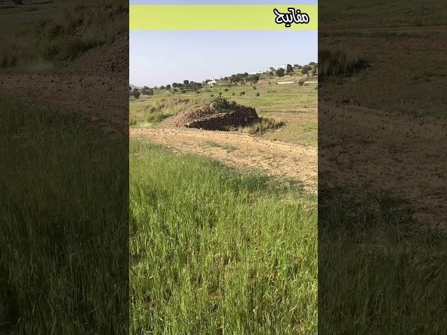 قرية شرف العوص بالسودة أجمل مكان #هرمون_السعادة #احمد_بدوي #مفاتيح