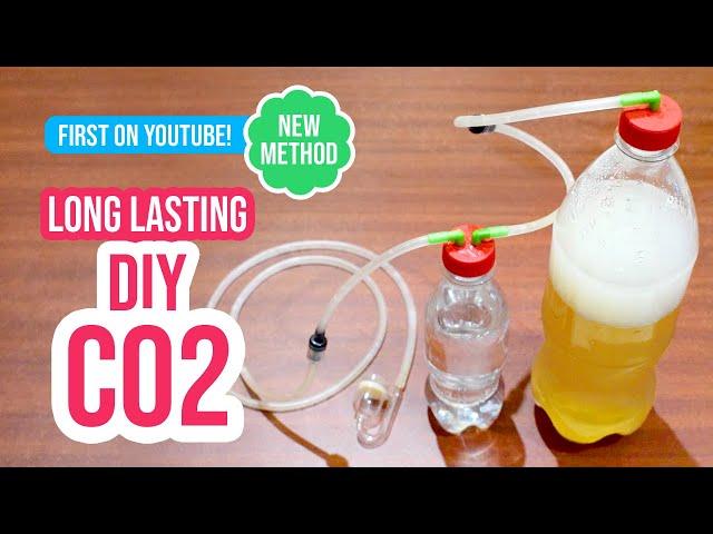 Build a Long Lasting DIY CO2 System for Your Planted Aquarium 🫧