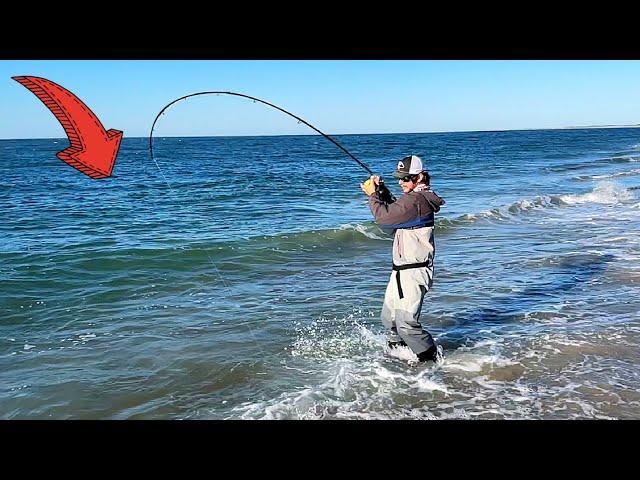 2 Hours of Catching the CRAZIEST Beach Fish!!