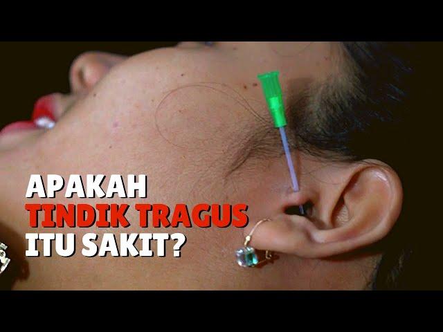  Tindik Telinga Tragus | Apakah penindikan tragus itu menyakitkan? | Tragus Piercing