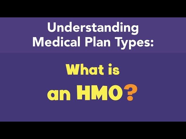 What is an HMO?