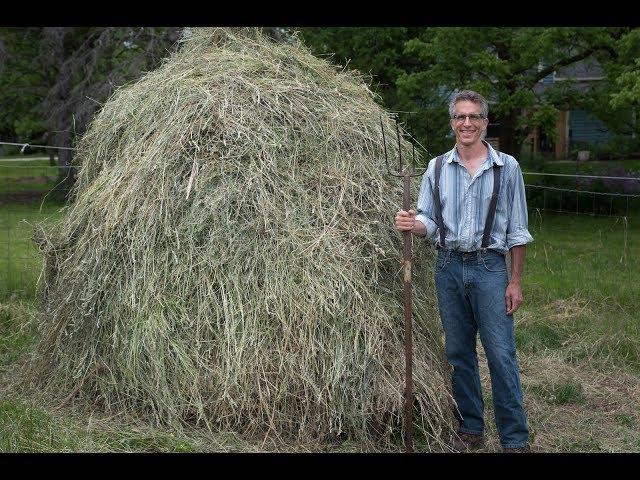 Making Hay on the Homestead