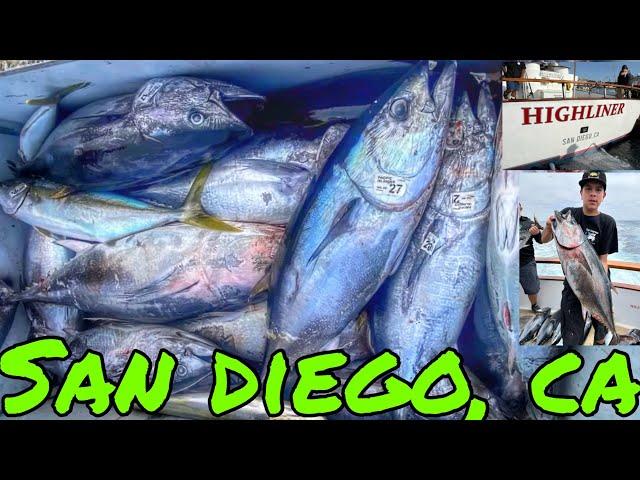 OVERNIGHT BLUEFIN TUNA TRIP ABOARD THE HIGHLINER SPORTFISHING | SAN DIEGO CA | SUMMER JULY 2024