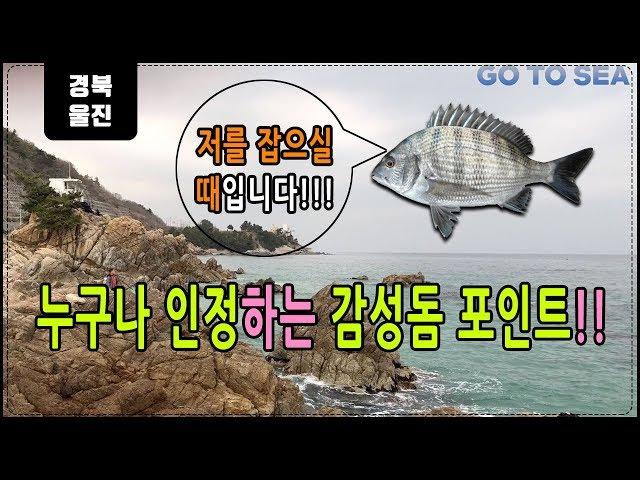 원투낚시 포인트 소개 경북 울진에서 감성돔하면 여기라는 포인트 입니다. 직접 가봤습니다!! [고투씨] fishing