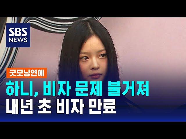 하니, 비자 문제 불거져…내년 초 비자 만료 / SBS / 굿모닝연예