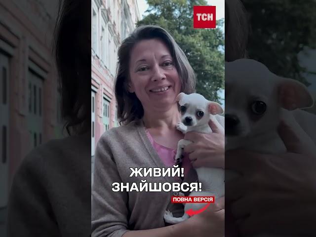 Маленького песика знайшли під завалами! Щемливе возз'єднання із господаркою РОЗЧУЛИЛО ВСІХ!