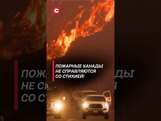 Пожарные Канады не справляются со стихией! #канада #пожар #чп #катастрофа #катаклизм #бедствие