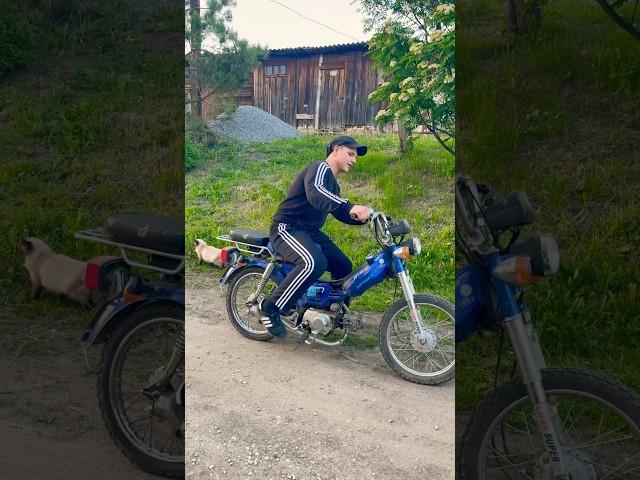 Газу давай