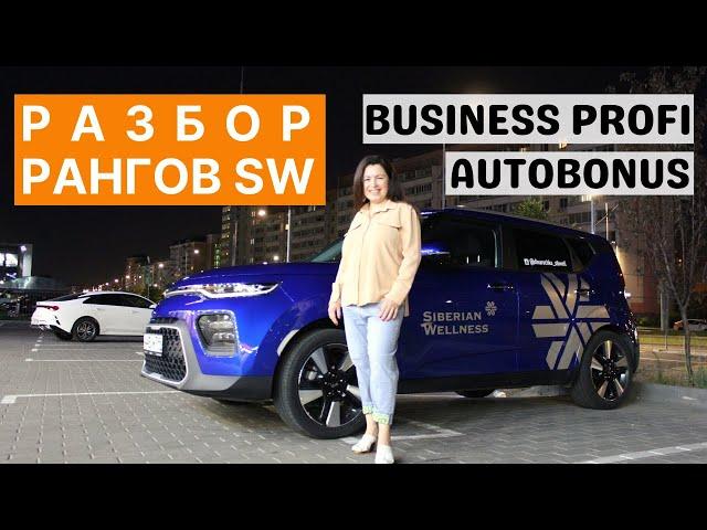 МАРКЕТИНГ план Сибирское Здоровье. Business Profi Siberian Wellness. Автобонус и премия 80.000руб.