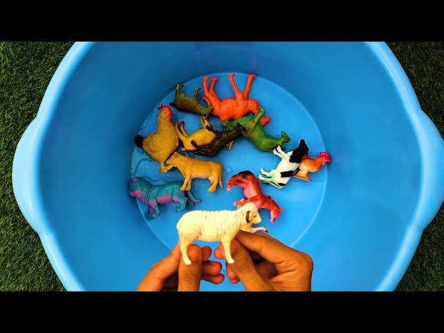 Best Toys For Kids - Animal Toys, Cleaning Toys - Toys Toys