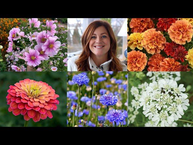 10 of the Easiest Annual Flowers to Start From Seed!  // Garden Answer