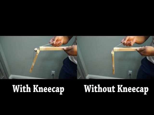 What Are Kneecaps For? | Discover How Crucial It Is For Kneecap Mobilization