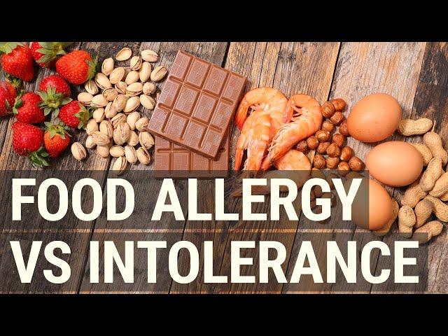 Food Allergy vs Intolerance - What's the Difference