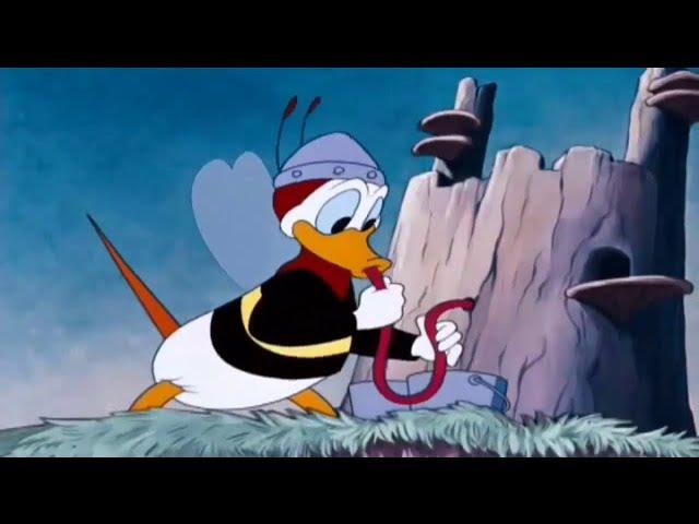 ᴴᴰ Pato Donald y Chip y Dale dibujos animados - Pluto, Mickey Mouse Episodios Completos Nuevo 2018