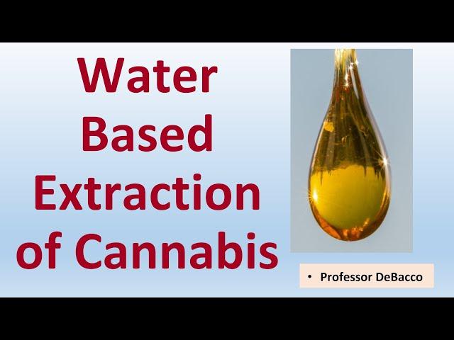 Water Based Extraction of Cannabis