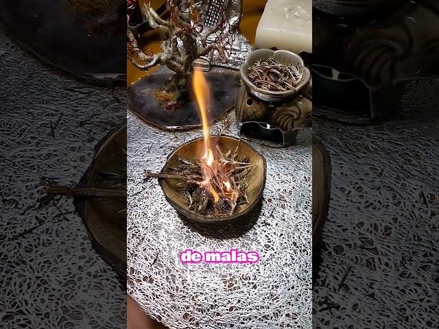 ELEMENTOS con los deberías SAHUMAR tu HOGAR #bruja #rituales #magia #ritualesmagicos #witch #hechizo