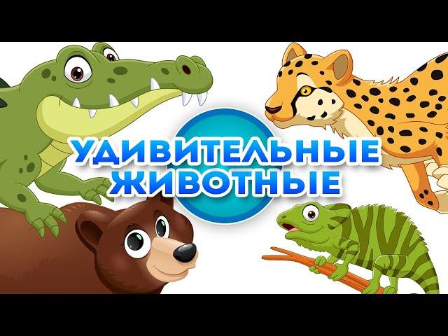 Удивительные животные - Познавательное видео для детей