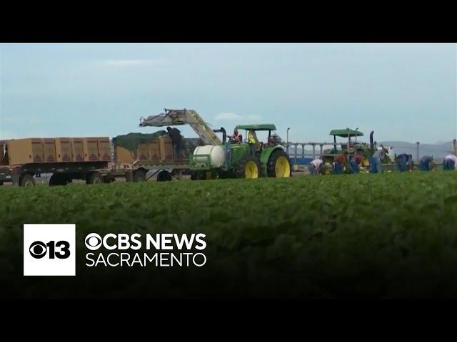 UC Davis study finds San Joaquin Valley residents breathe in concerning levels of pesticides