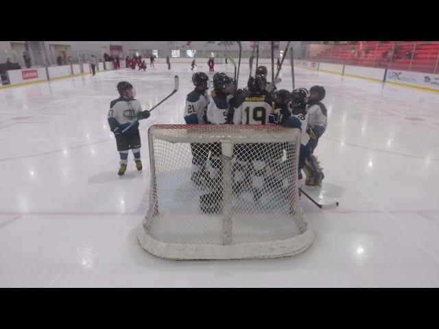 14U - WV Wild vs Carolina Jr Canes - 11/24/24 Game 2