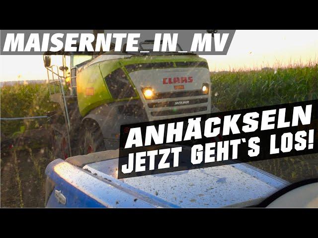 #Maishäckseln im Norden! | #Maisernte | #Vlog Teil2 | Doku