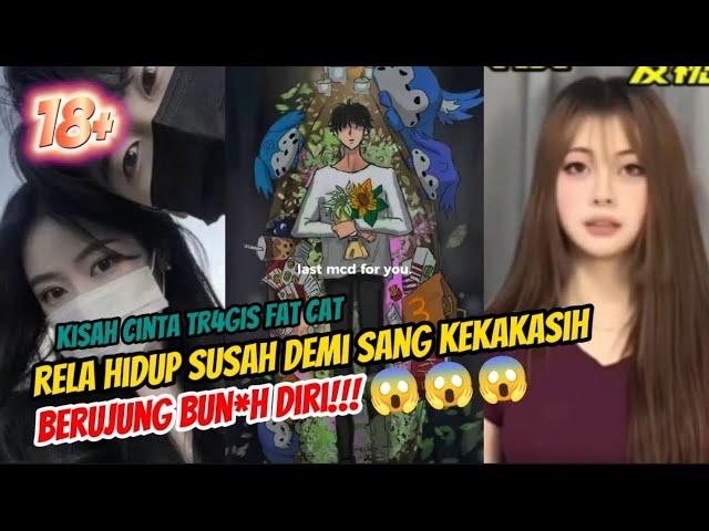 VIRAL! fat cat, gamer china yang rela transfer Rp 1miliar ke pacar hingga berujung bun*h diri!! 