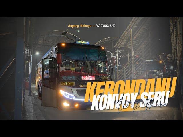 LARI KESETANAANN  KONVOY BARENG SUMBER & MIRA‼️ - Trip Sugeng Rahayu W 7003 UZ "Kebo Ndanu"