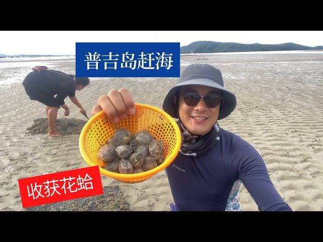 普吉岛赶海根本停不下来  蟹招潮蟹密密麻麻一大群     花蛤挖个够（a funny beach comb in Phuket）EP.15