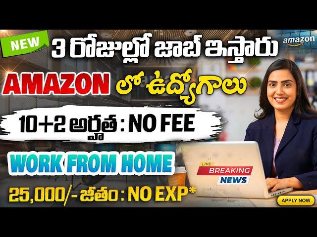 Amazon Recruitment 2025 | Amazon Work From Home Jobs 2025 || Amazon Jobs For Freshers || Online Jobs