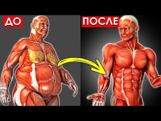 4 ПРОВЕРЕННЫХ способа Для Мужчин После 40 Лет, Чтобы Избавиться от Жира на Животе